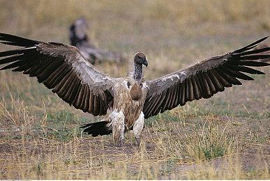 经典风格ARPG《Airoheart》9月30日登陆全平台